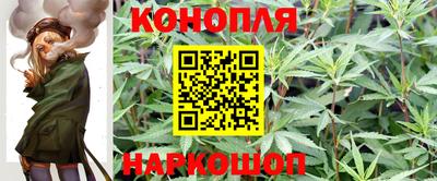 ECSTASY Ливны