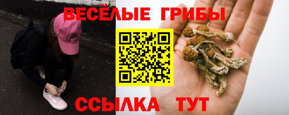 Тихорецк  Галлюциногенные грибы ЛСД  Вход с VPN  Галлюциногенные грибы GOLDEN TEACHER 